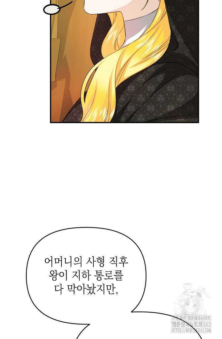 어느 왕녀를 위하여 62화 5