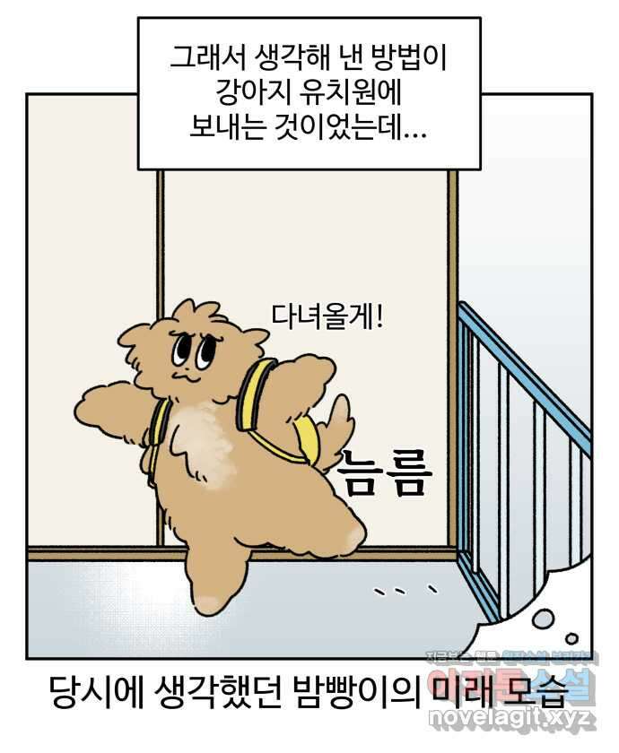 강아지는 멍멍하고 짖지 않아! 106화 - 강아지 유치원 1 9