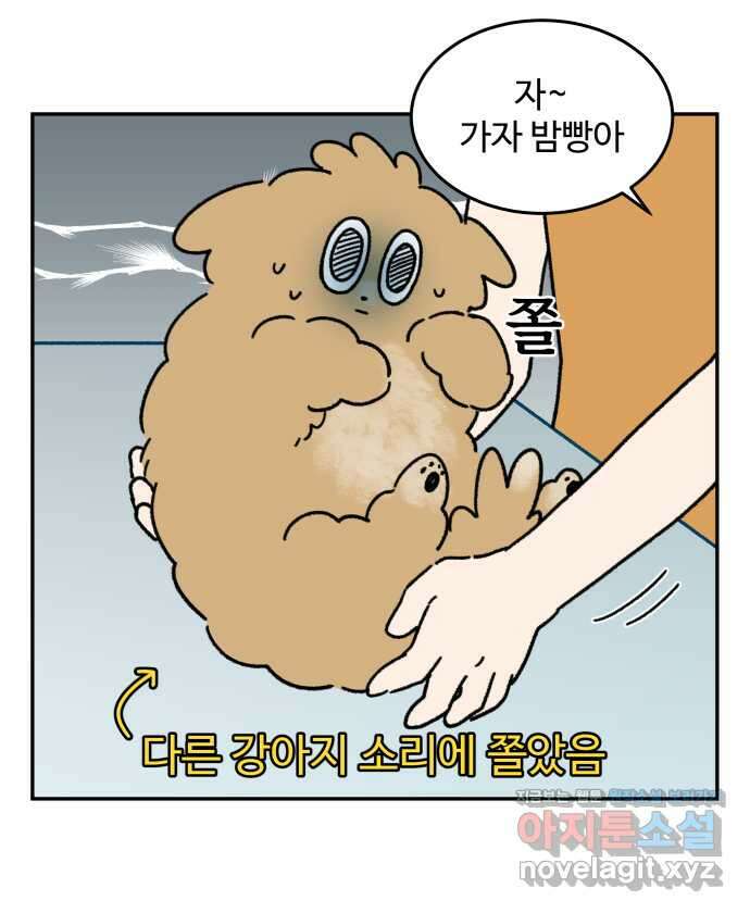 강아지는 멍멍하고 짖지 않아! 106화 - 강아지 유치원 1 13