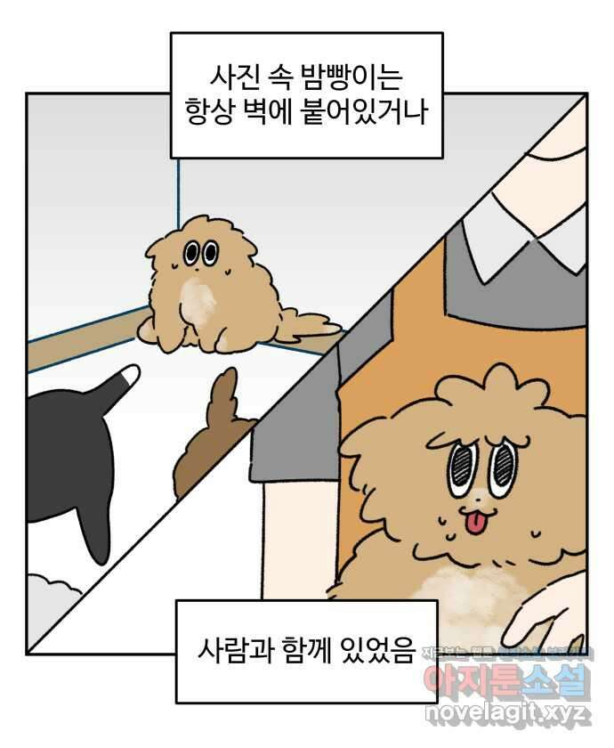 강아지는 멍멍하고 짖지 않아! 106화 - 강아지 유치원 1 17
