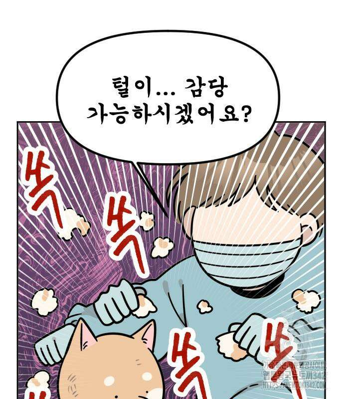시바, 만만치 않다 2화 11