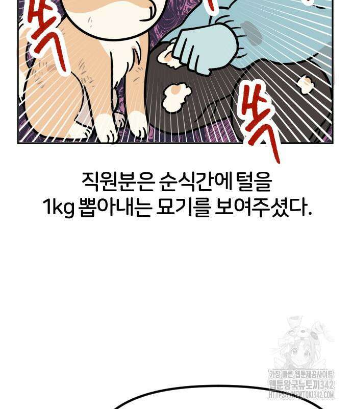 시바, 만만치 않다 2화 12