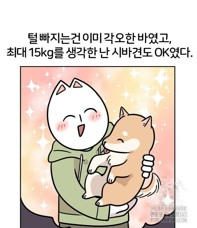 시바, 만만치 않다 2화 17