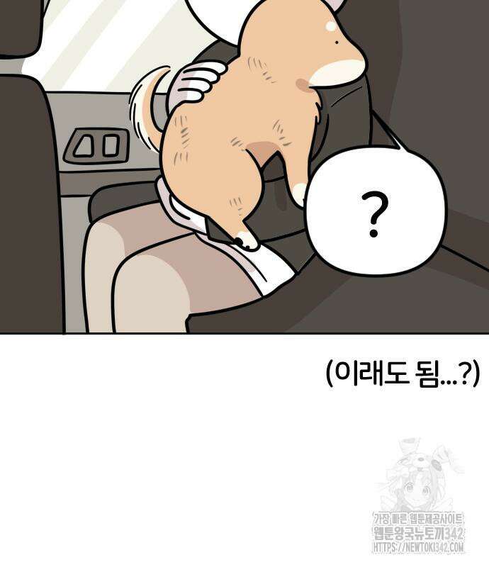 시바, 만만치 않다 2화 21