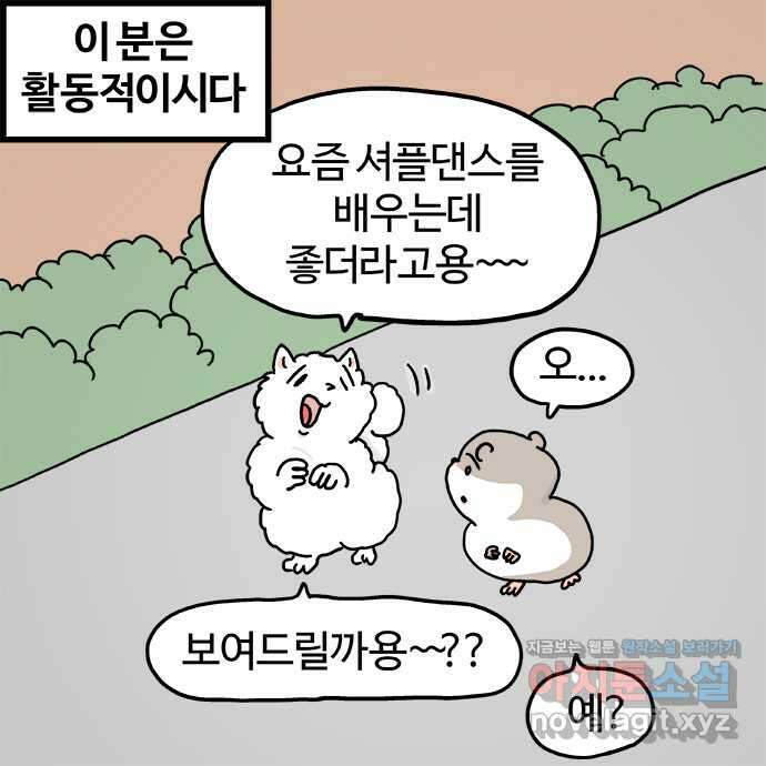 흔한햄 2부 6화 : 포메님 2