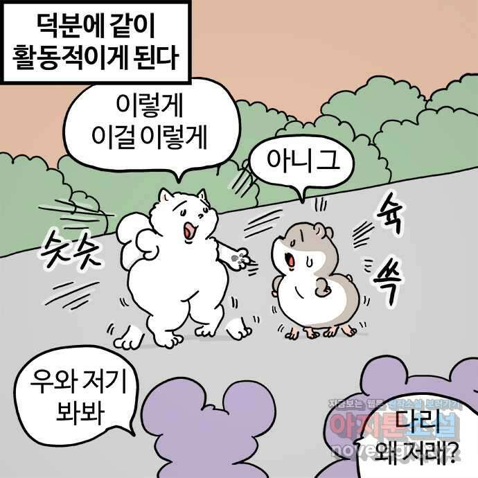흔한햄 2부 6화 : 포메님 4