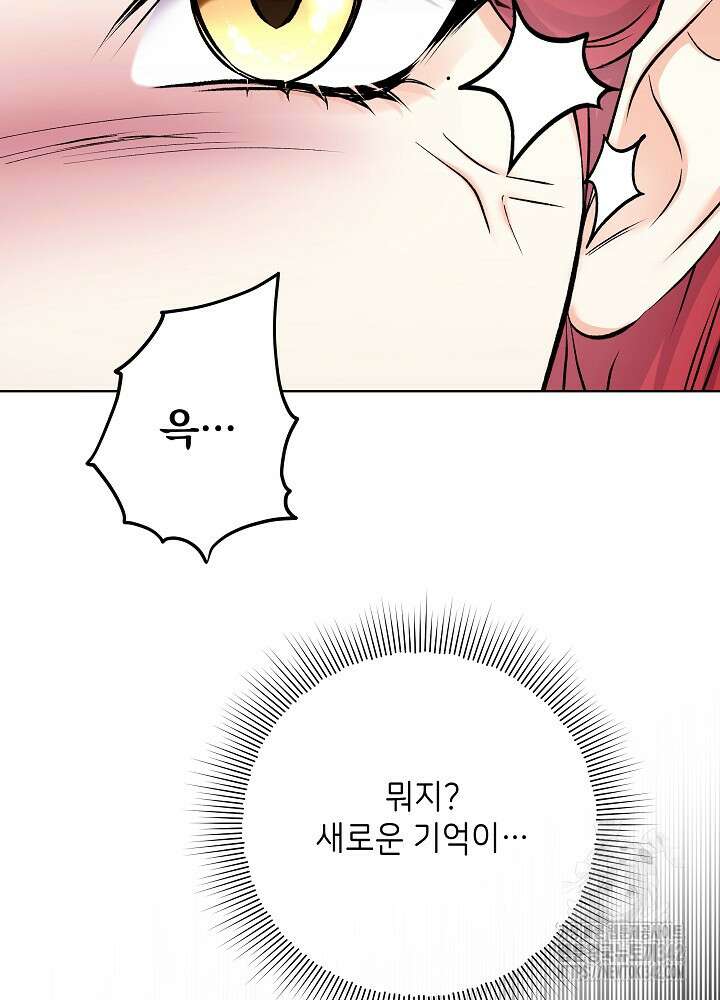 셀럽 레이디 20화 12