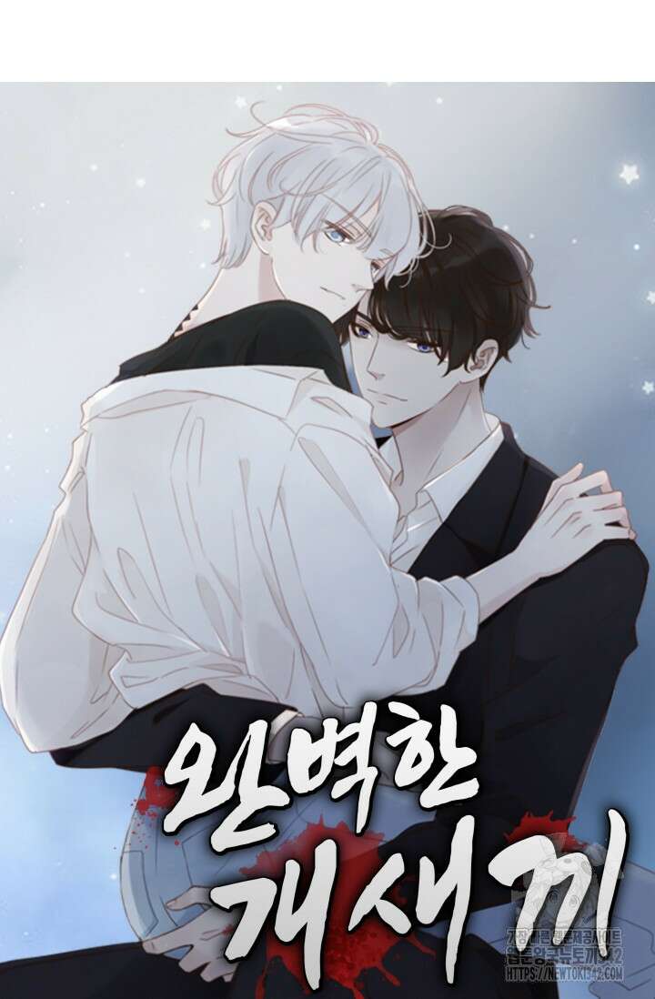 완벽한 개새끼 40화 7