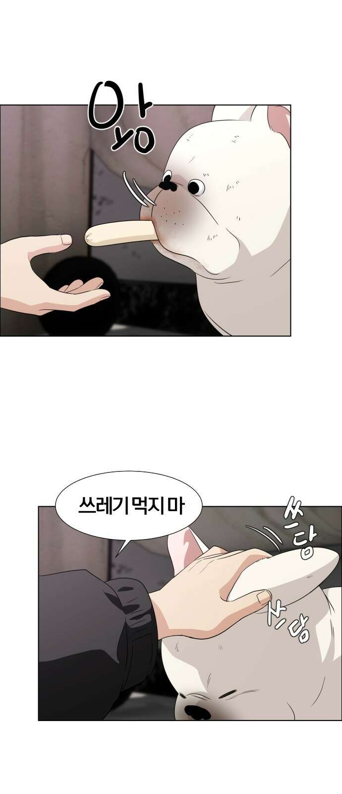 작두 1．생일 37