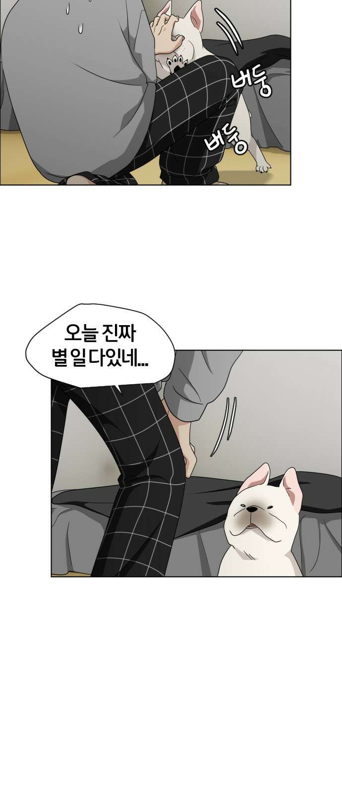 작두 1．생일 178