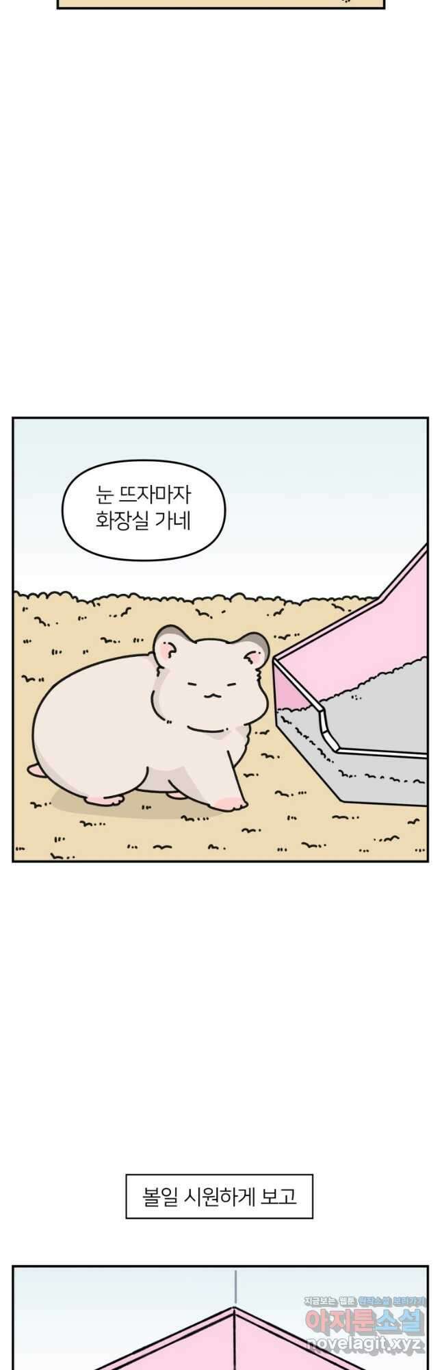 어쩌다 햄스터 21. 햄스터와 화장실 2