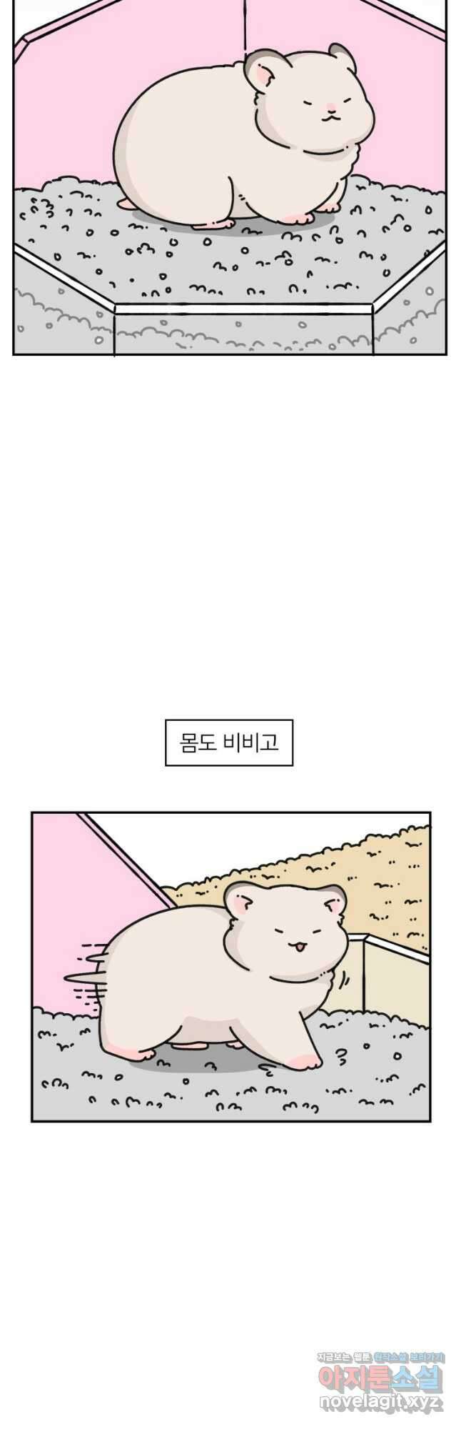 어쩌다 햄스터 21. 햄스터와 화장실 3