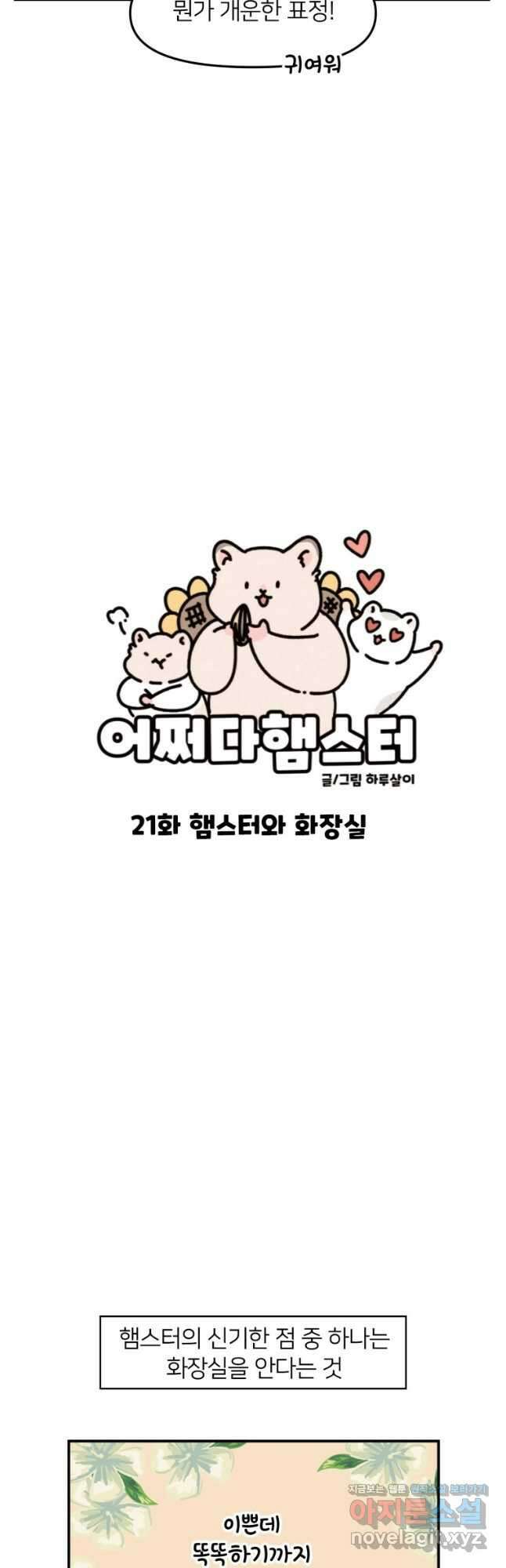 어쩌다 햄스터 21. 햄스터와 화장실 5