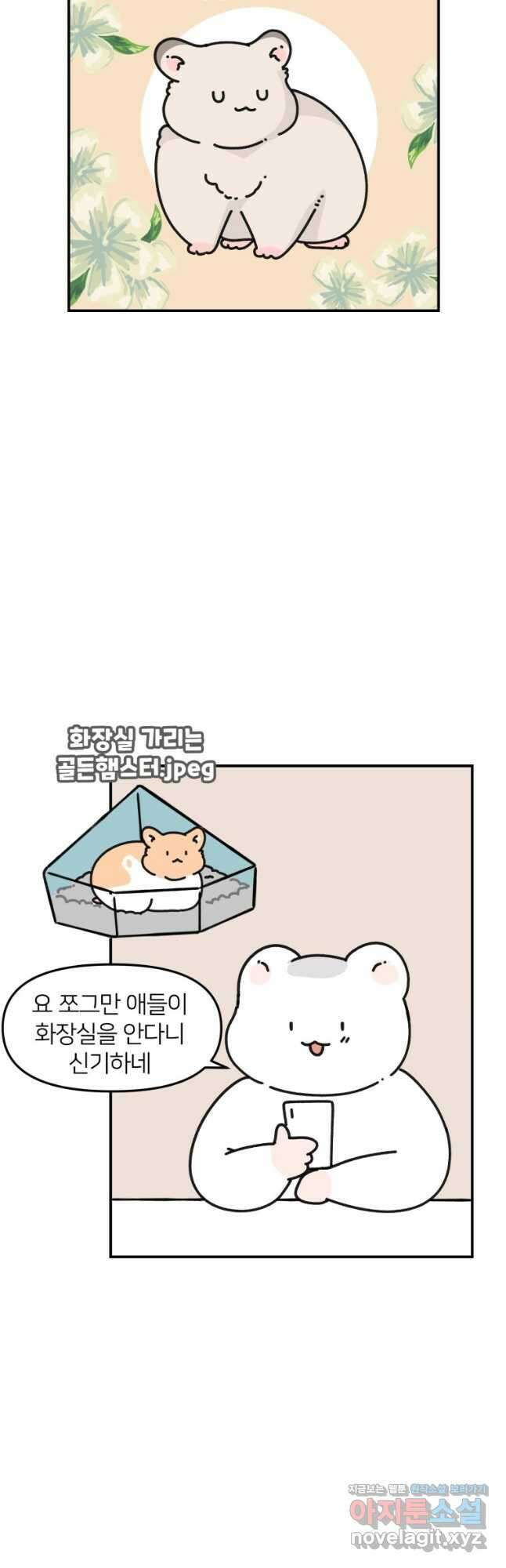 어쩌다 햄스터 21. 햄스터와 화장실 6