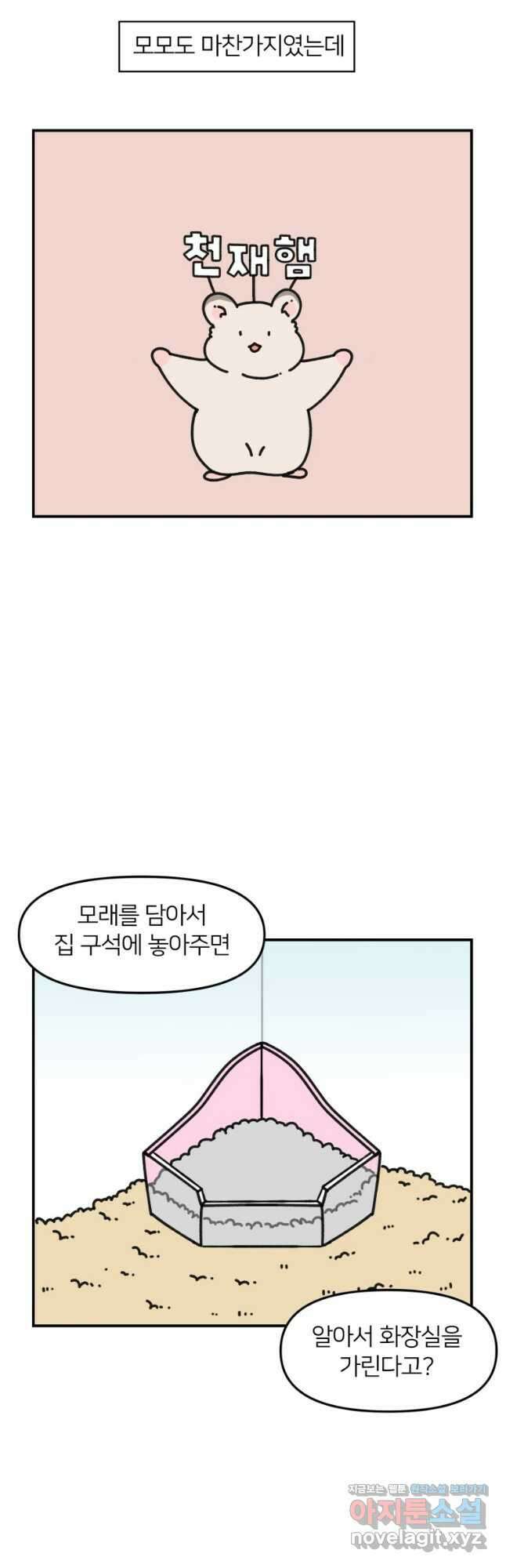 어쩌다 햄스터 21. 햄스터와 화장실 7