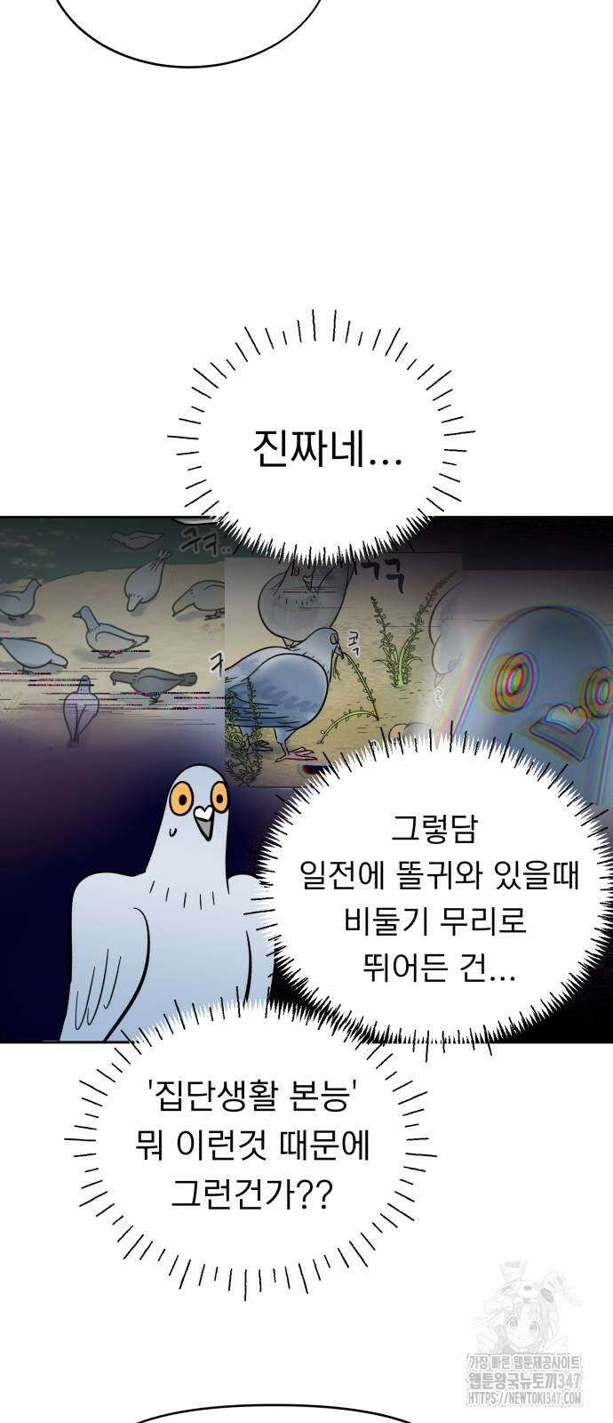 성북구 비둘기 이헌서 14화 11