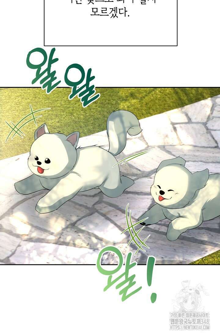 이혼이 조건입니다 41화 8