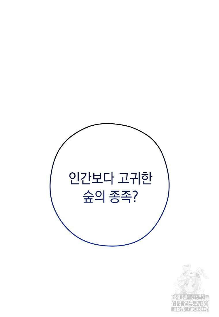 던전 리셋 213화 8