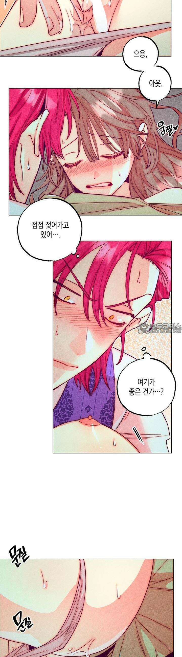 남주들의 첫날밤을 수집합니다 15화 8