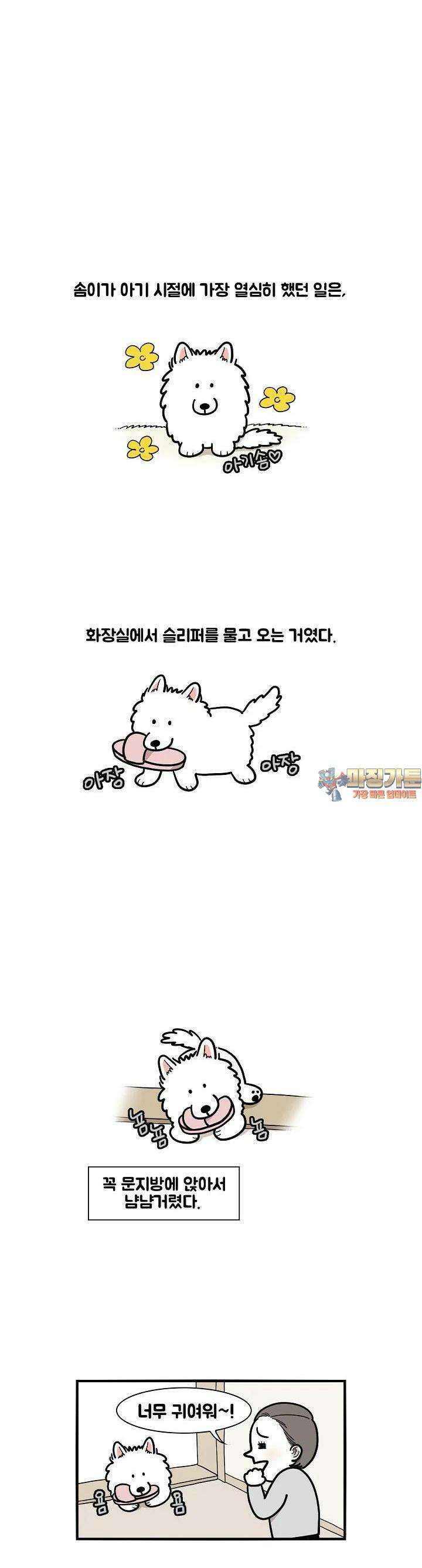 극한견주 13화 절도 파괴 1