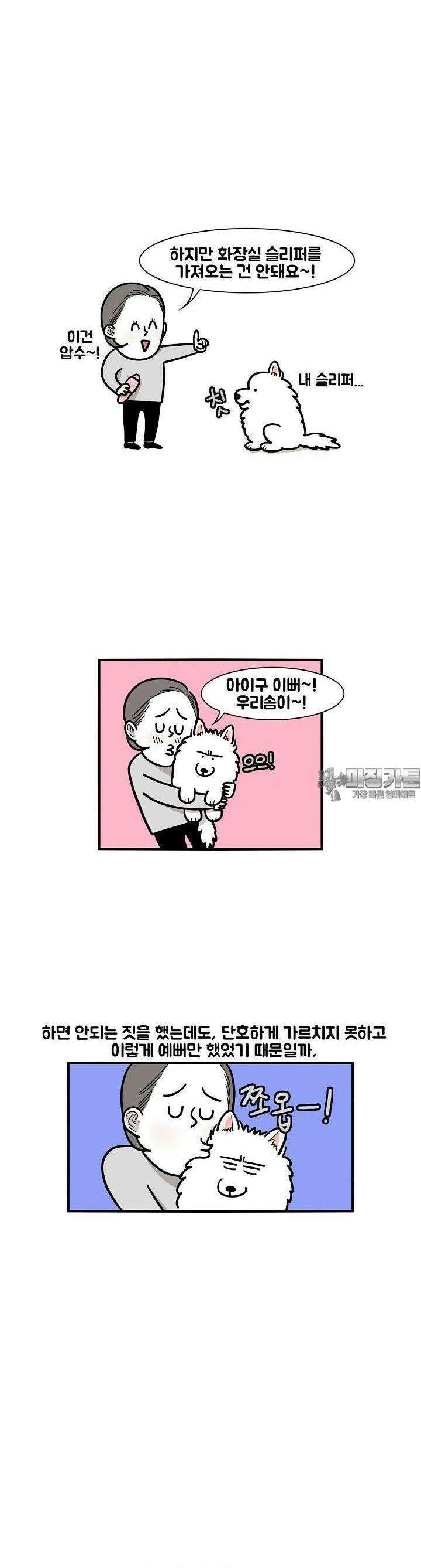 극한견주 13화 절도 파괴 2