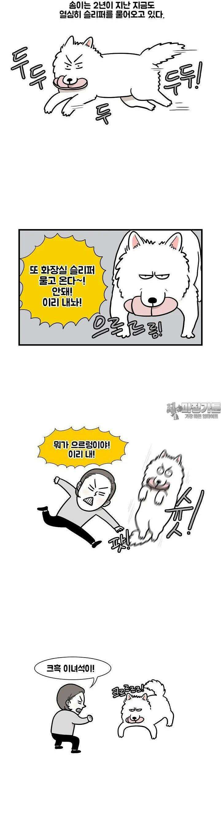 극한견주 13화 절도 파괴 3