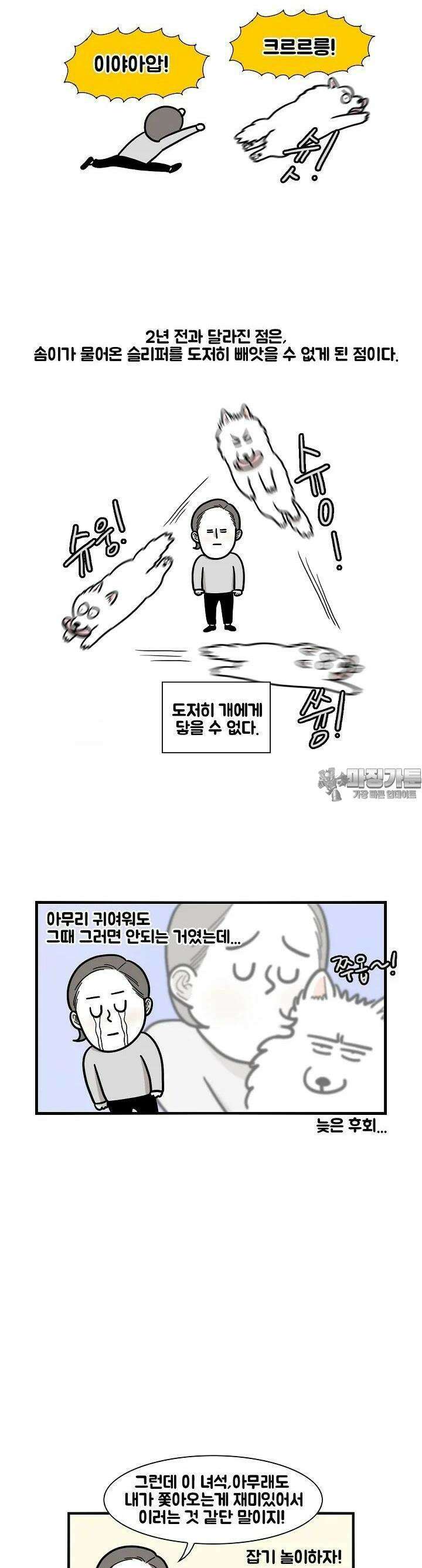 극한견주 13화 절도 파괴 4