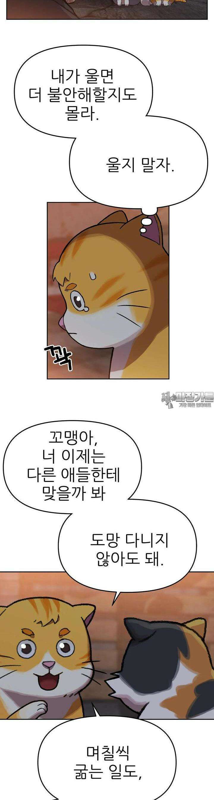 무지개다리 파수꾼 무지개다리 파수꾼 148화 3