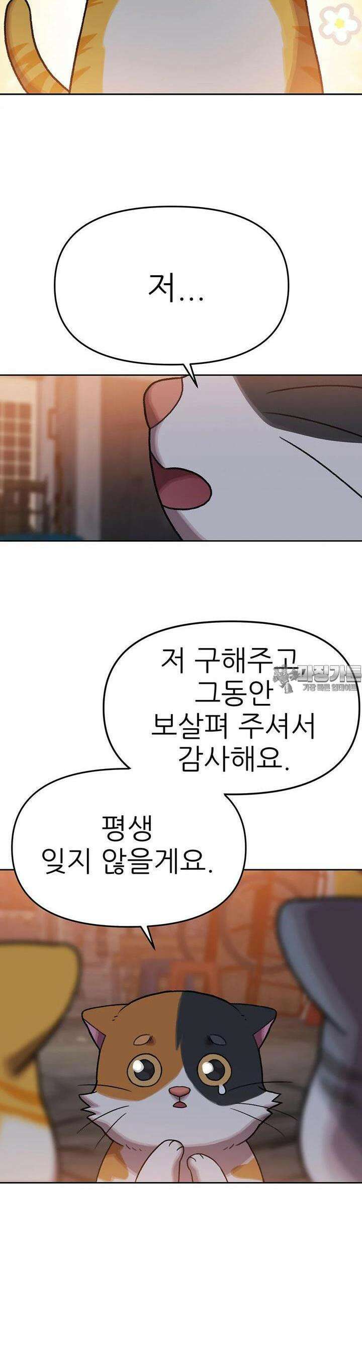 무지개다리 파수꾼 무지개다리 파수꾼 148화 5