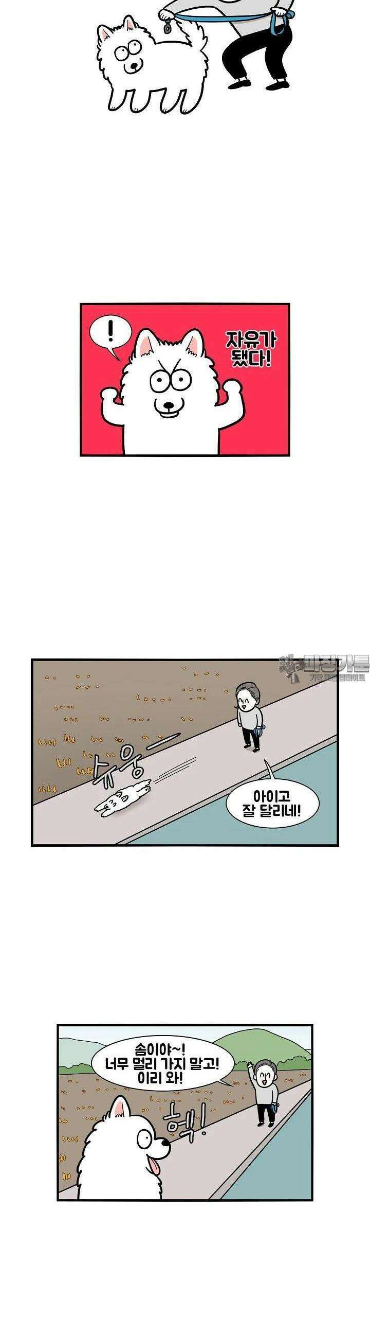 극한견주 28화 논 2
