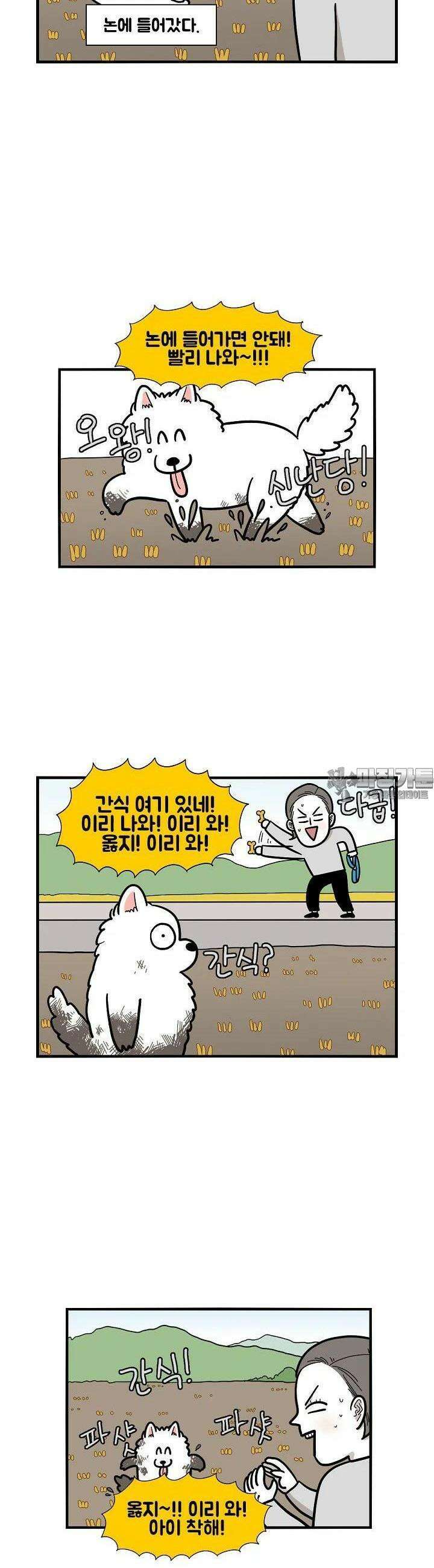 극한견주 28화 논 4