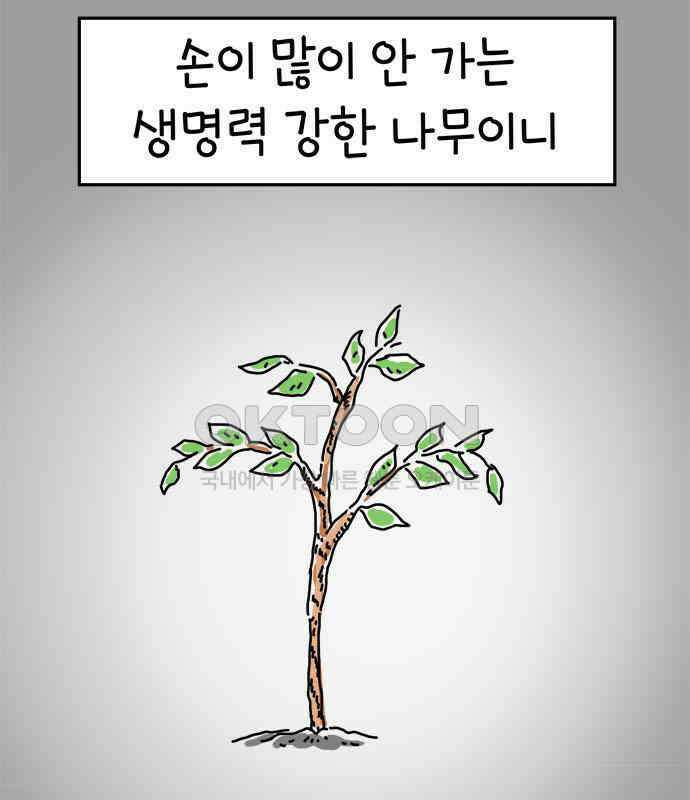소심한 호랭이 코코 22화 얼굴 없는 새 (3)완 8