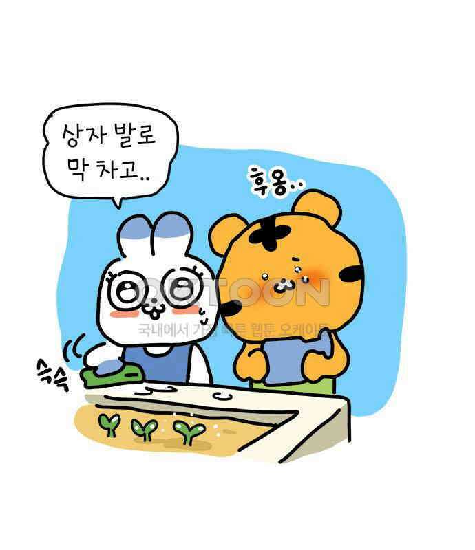 소심한 호랭이 코코 22화 얼굴 없는 새 (3)완 16