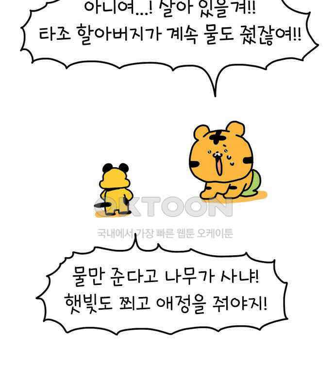 소심한 호랭이 코코 22화 얼굴 없는 새 (3)완 22