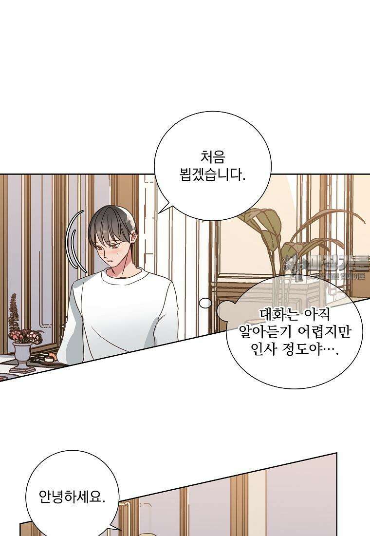 해 밝은 밤의 산책 14화 6
