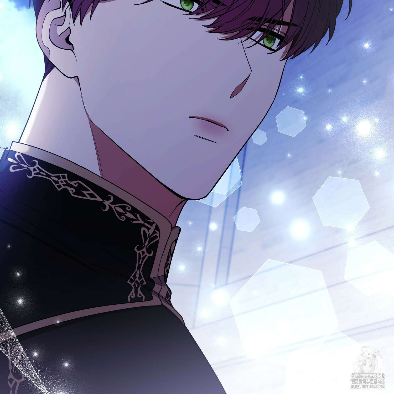 대공가의 여우 황녀님 50화 40
