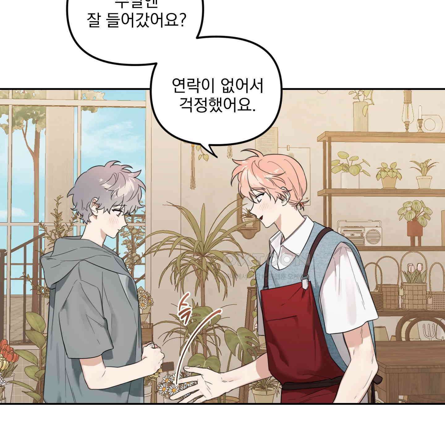 정원의 꽃 38화 4