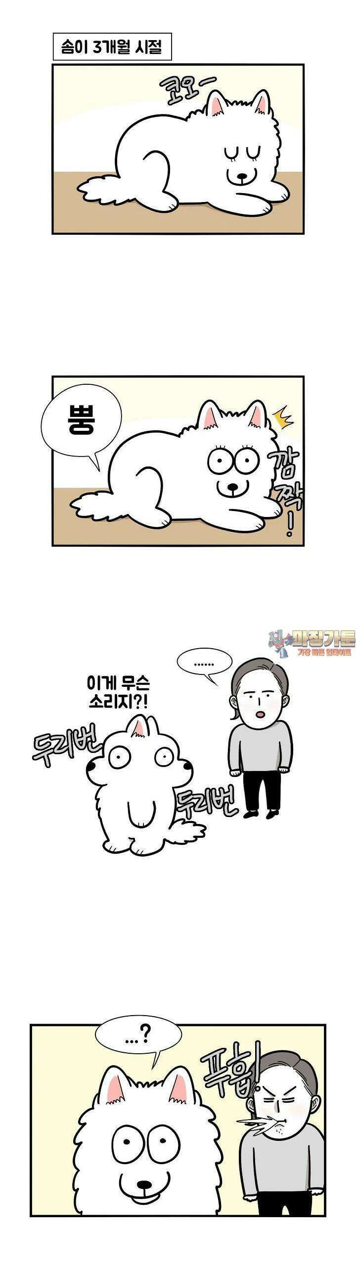 극한견주 37화 방귀, 침대 1