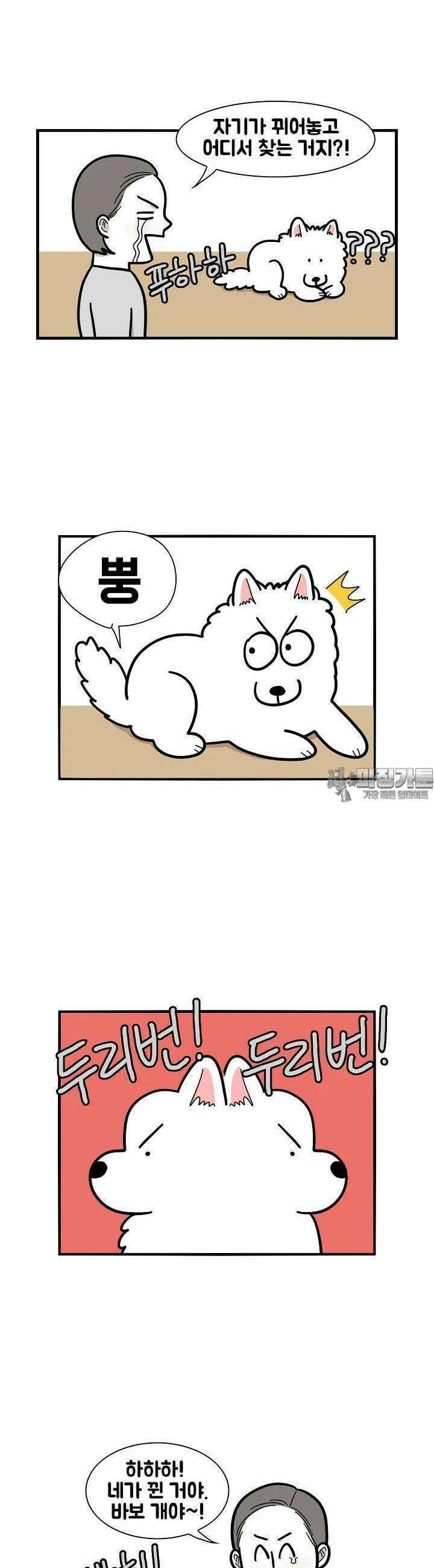 극한견주 37화 방귀, 침대 2