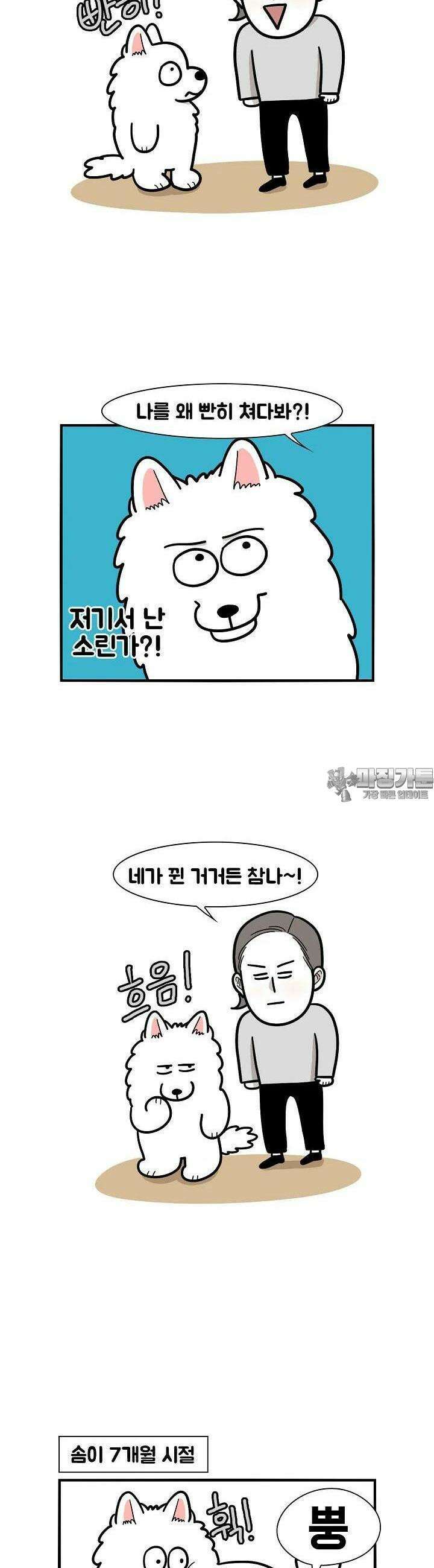 극한견주 37화 방귀, 침대 3