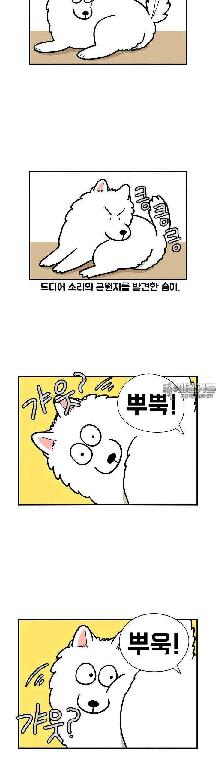 극한견주 37화 방귀, 침대 4