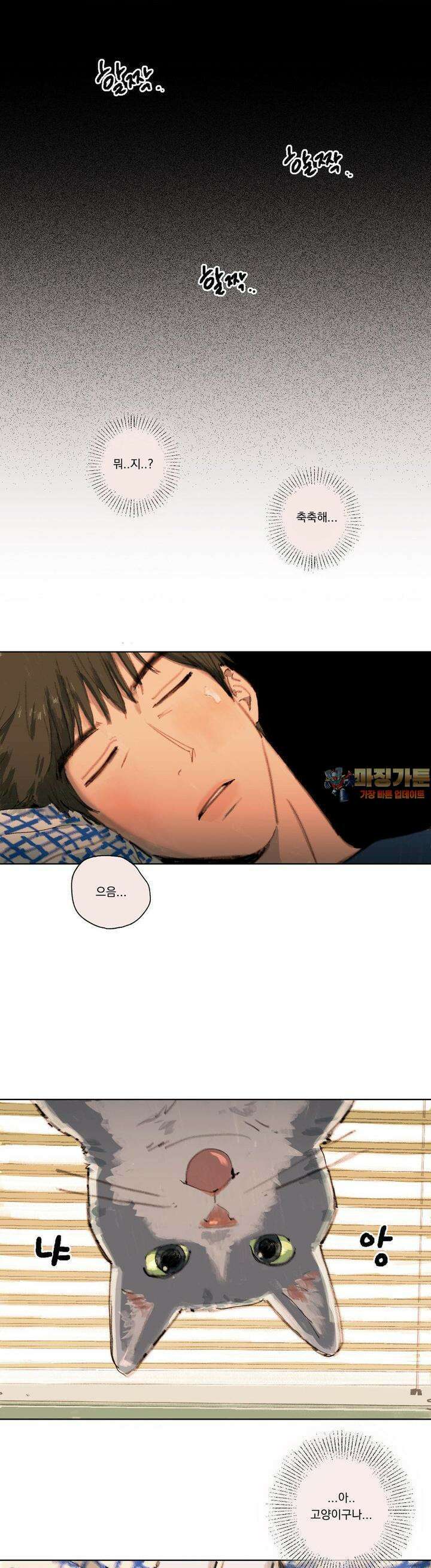 처음의 여름 4화 1