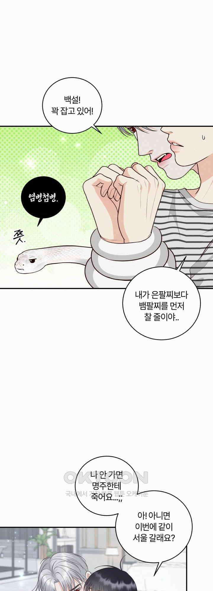 도깨비굿 17화 5