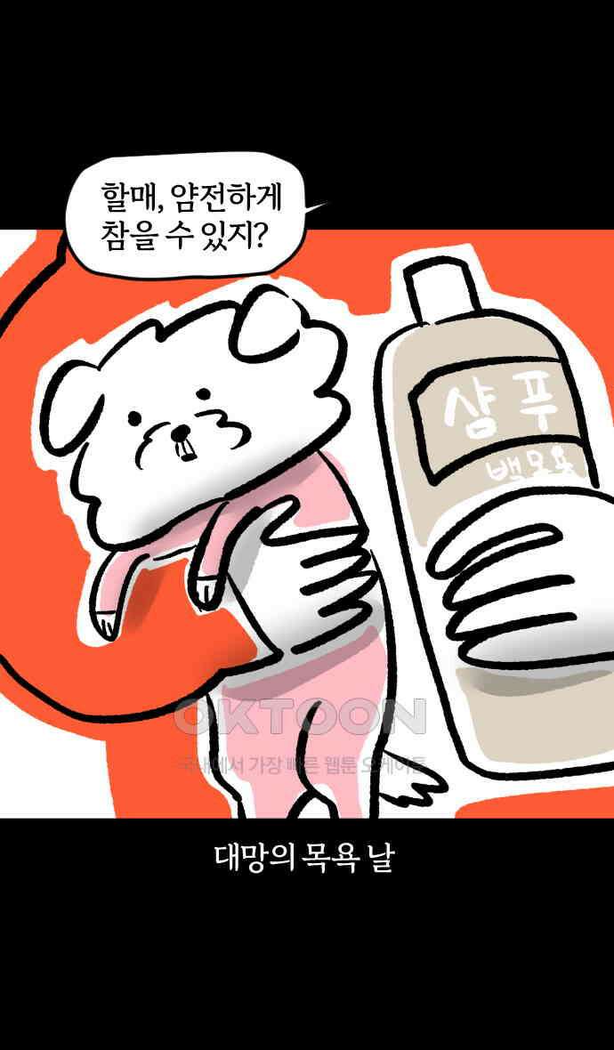 개집사 22화 예의바른 강아지 26