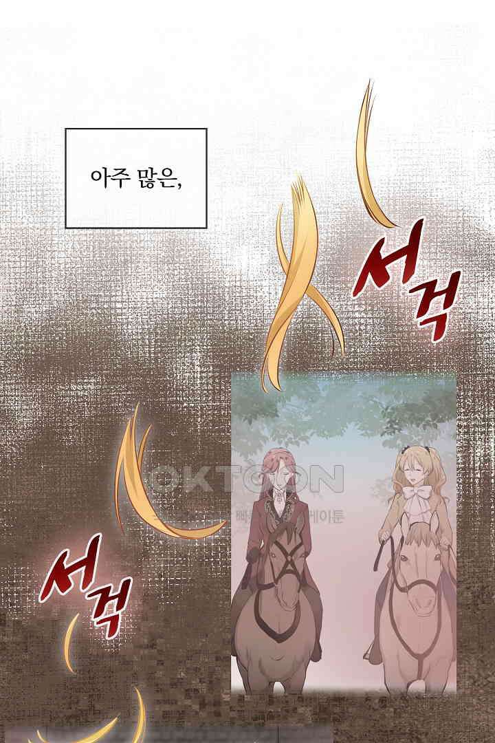 눌리타스: 절반의 백작 영애 155화 8
