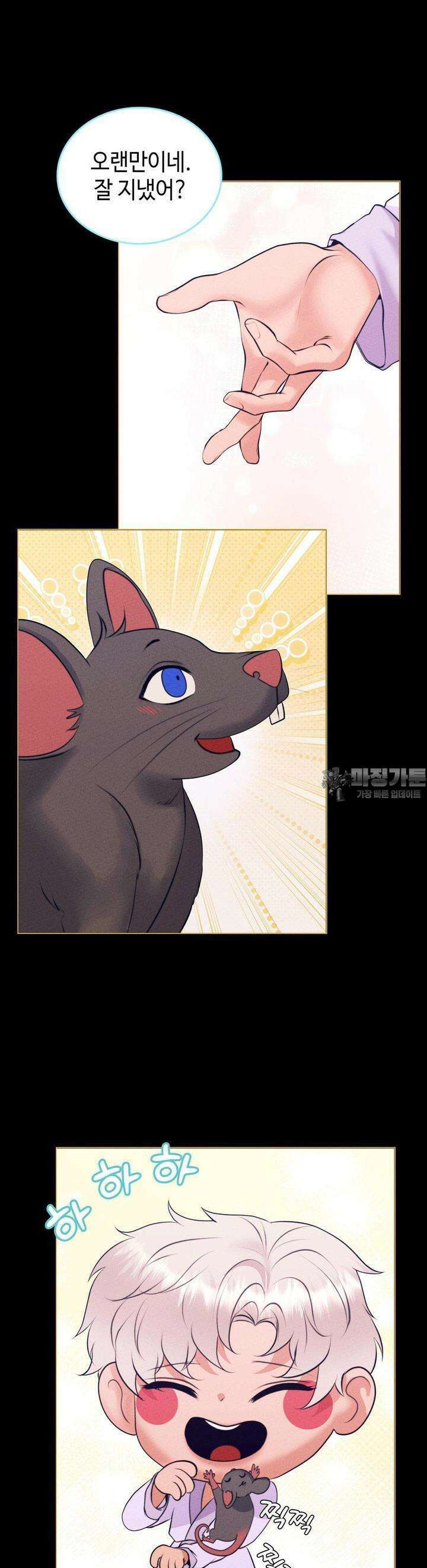오페라의 유령 24화 10