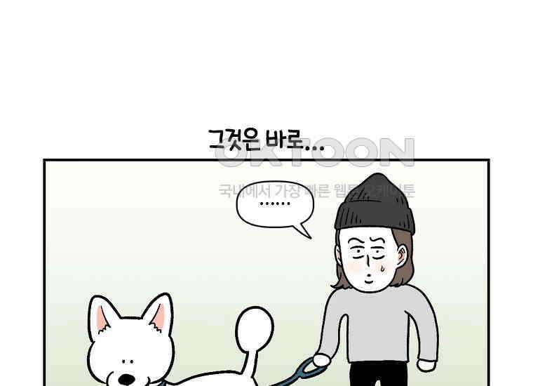 극한견주 시즌2 3화 돌아온 면봉 4