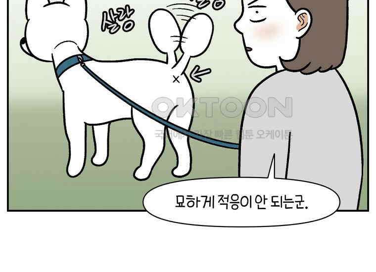 극한견주 시즌2 3화 돌아온 면봉 6