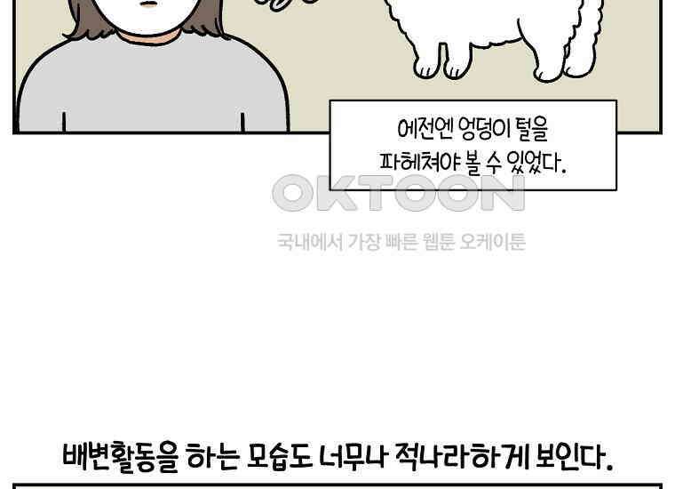 극한견주 시즌2 3화 돌아온 면봉 8