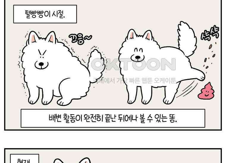 극한견주 시즌2 3화 돌아온 면봉 9